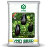 VNR 212 Brinjal