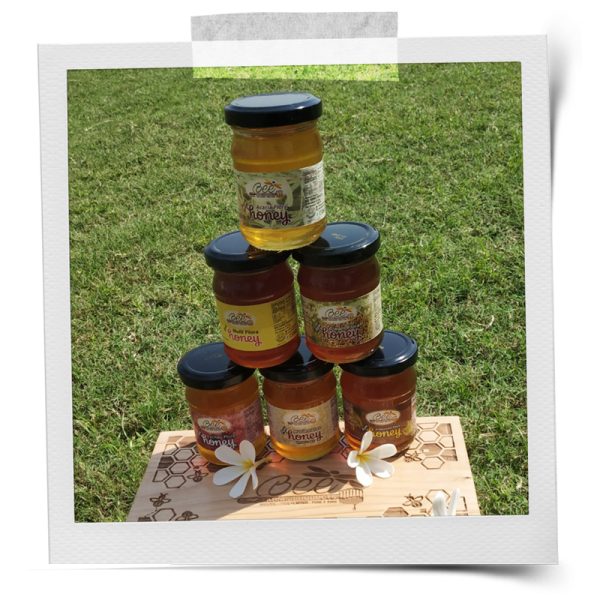 Gift Pack of 2 Flora Honey
