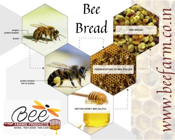 Bee Bread