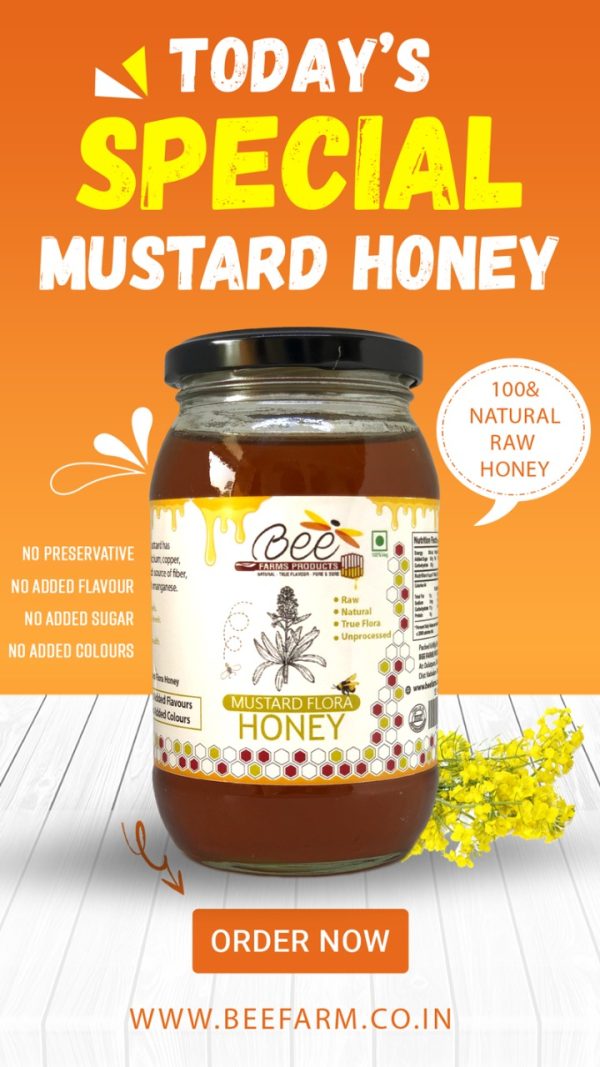 Mustard Honey / White Cream Honey