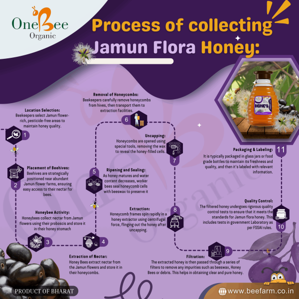 Jamun Honey / Blackberry Honey