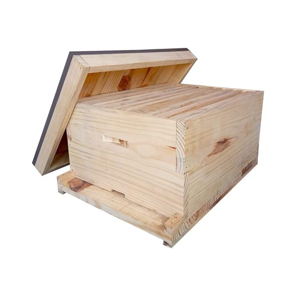 Beehive Wooden Box With Frames(Without Bees) Pine Wood (100Nos)