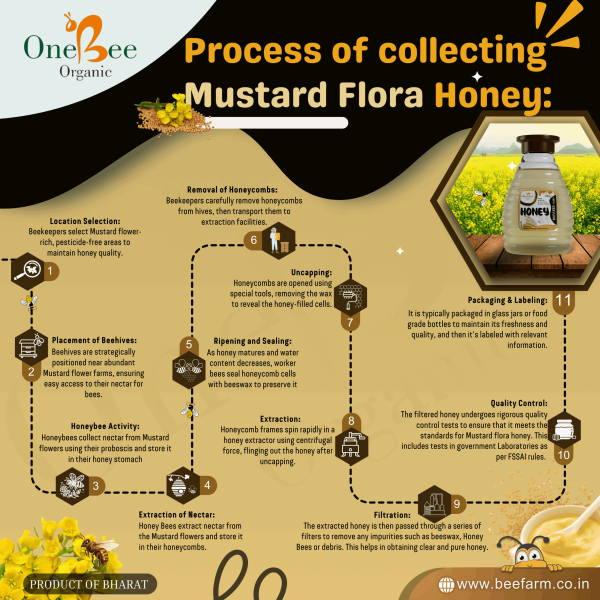 Mustard Honey / White Cream Honey